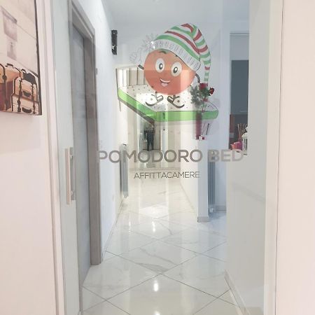 Pomodoro Bed Bed & Breakfast Castrovillari Exterior foto